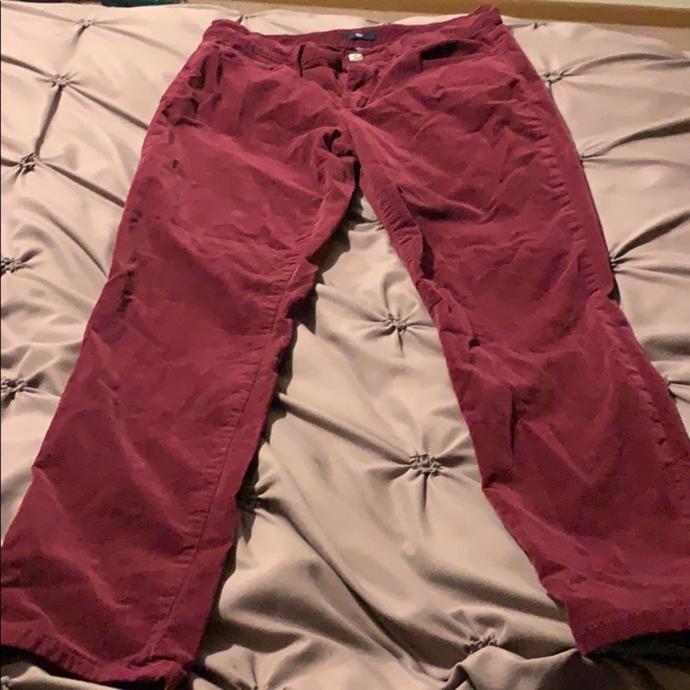 Women’s pants